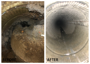 Dryer Vent Cleaning